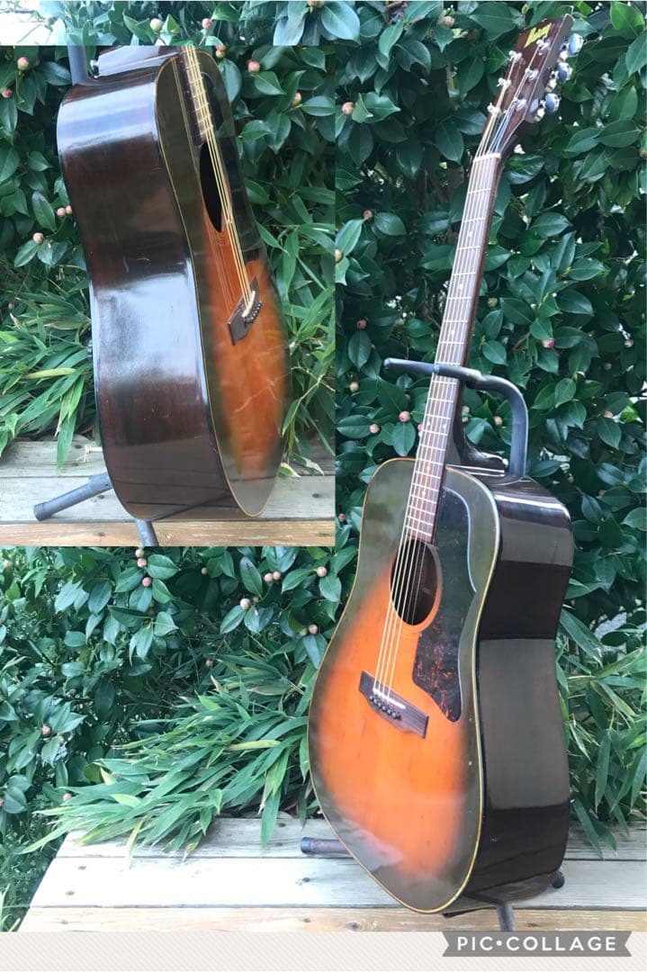 Burny BJ-50 バーニー