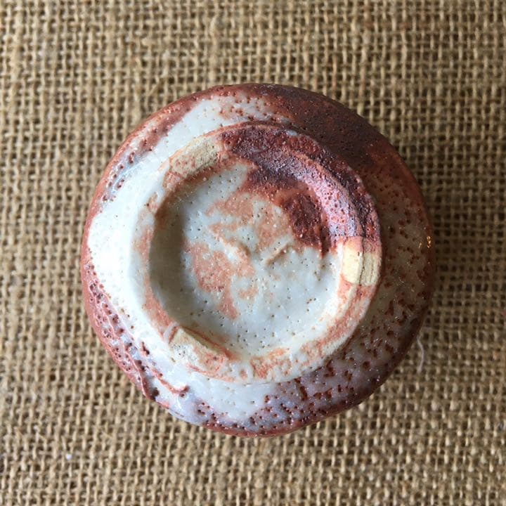 美濃焼 赤志乃 ぐい飲み 箱付き 椿