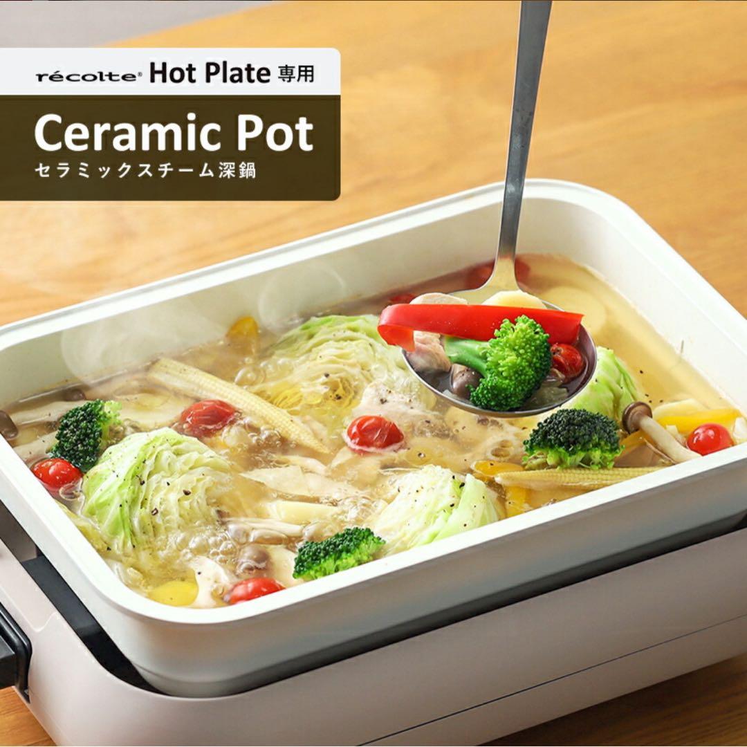 【新品未使用】récolte ホームバーベキュー　たこ焼き器　深鍋