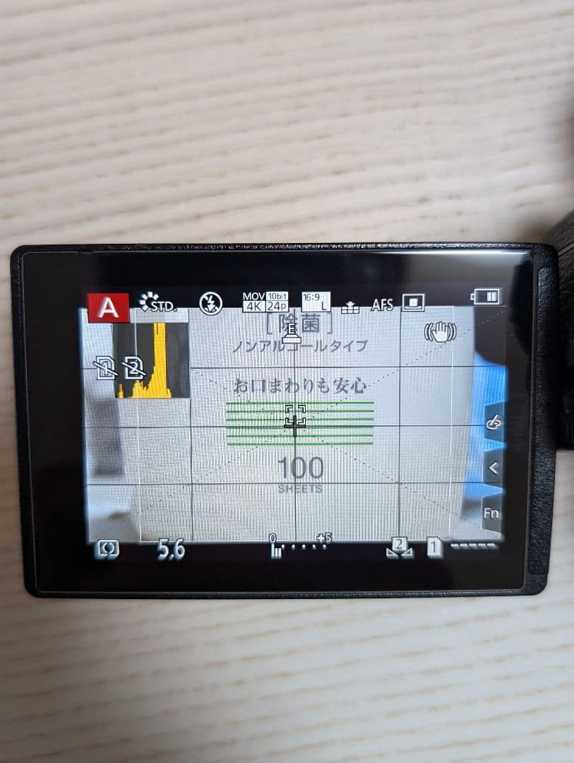 LUMIX G9 Pro バッテリーグリップ付き