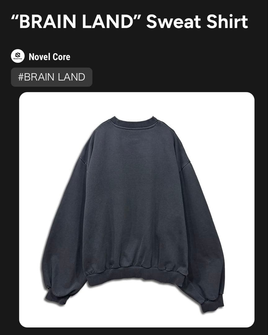 Novel Core BRAIN LAND トレーナー Basic