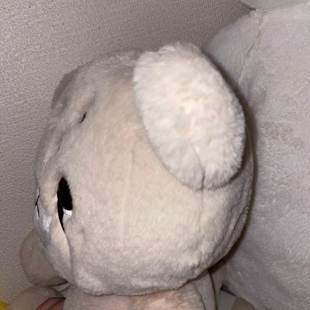 NCT マーク MARK ぬいぐるみ チタリ 치타리 40cm