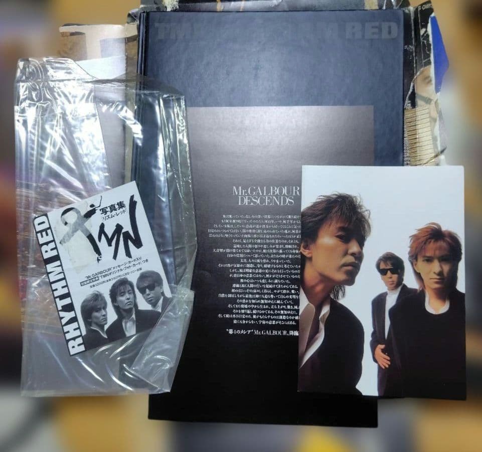 TMネットワーク TMN 関連グッズ まとめ売り 15点セット