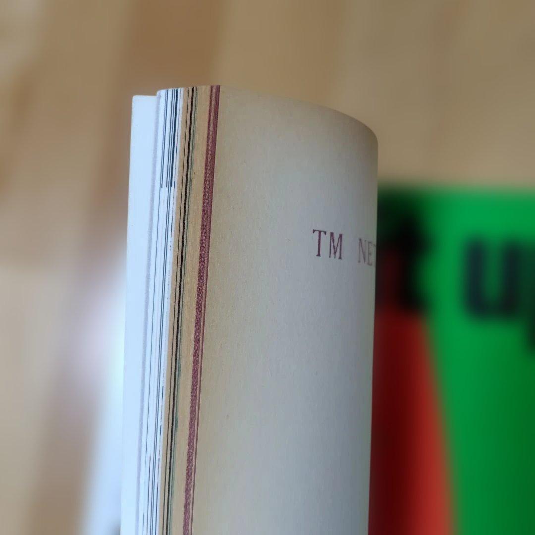 TMネットワーク TMN 関連グッズ まとめ売り 15点セット