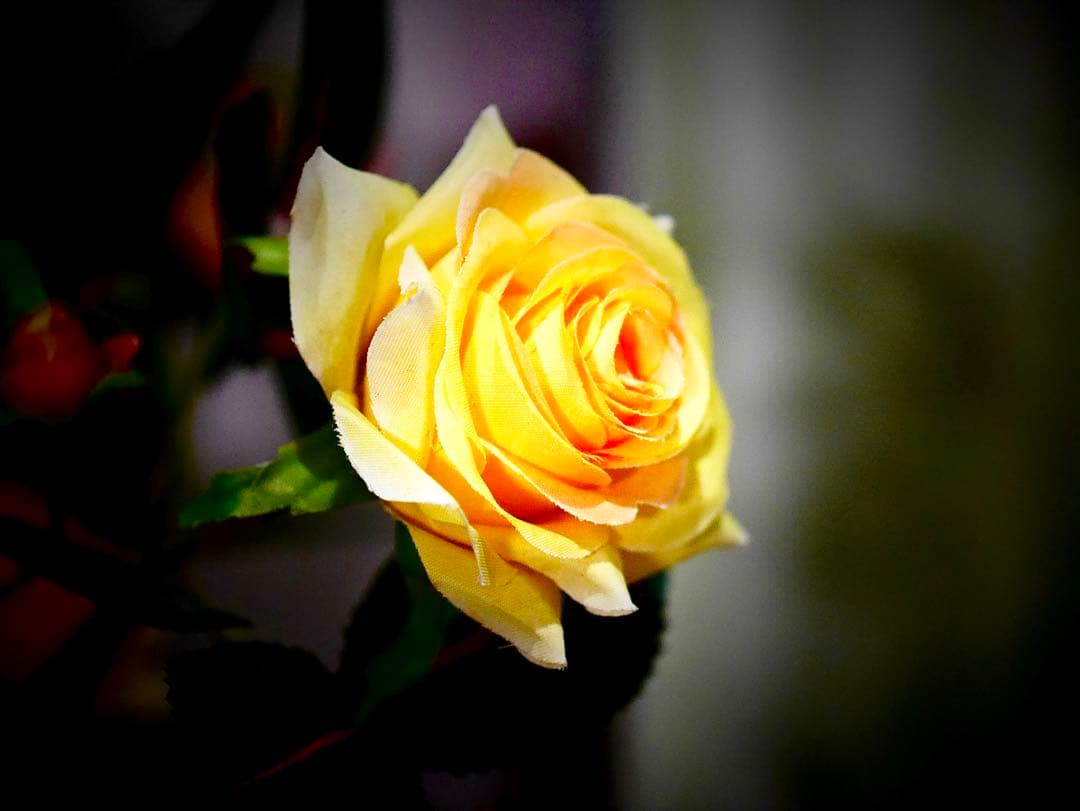 超美品 中古Panasonic LEICA H-ES50200 50-200mm