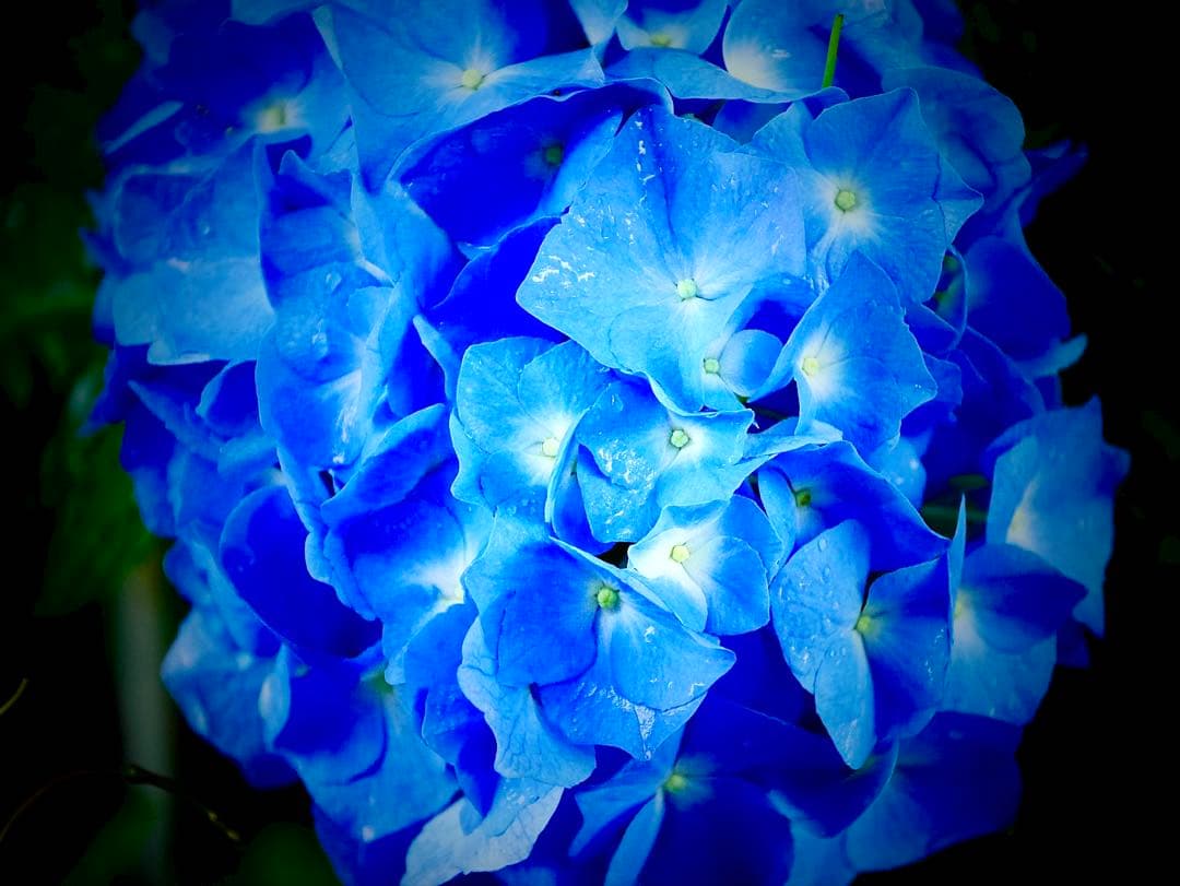 超美品 中古Panasonic LEICA H-ES50200 50-200mm