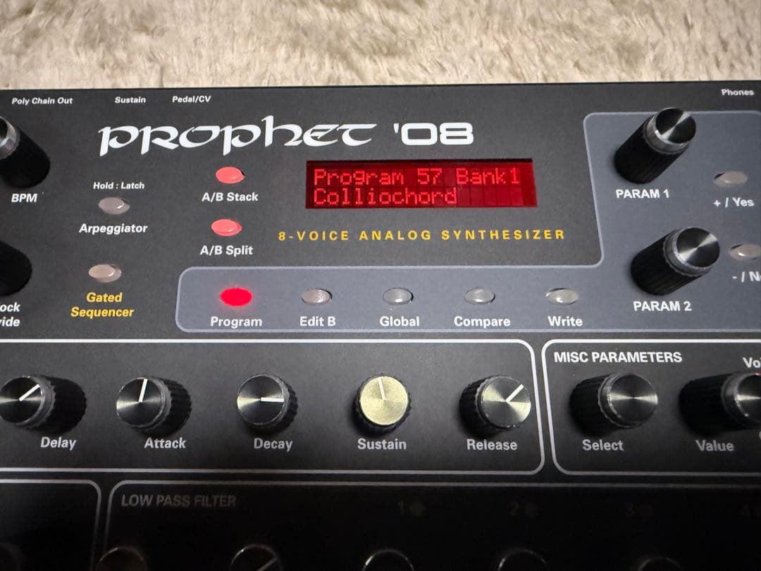 DSI Prophet ’08 module PE
