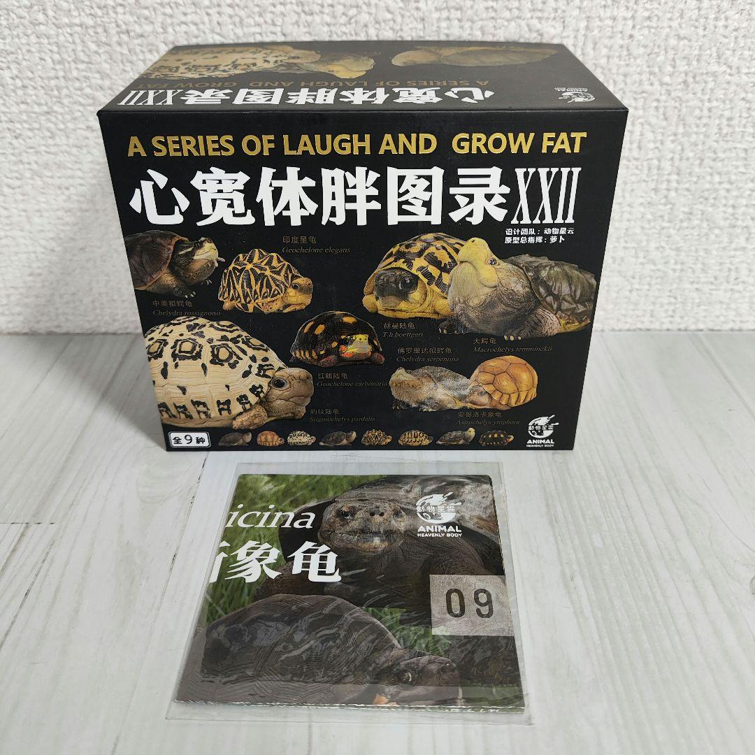 【動物の惑星】レア★ガラパゴスゾウガメ（シークレット）★フィギュア