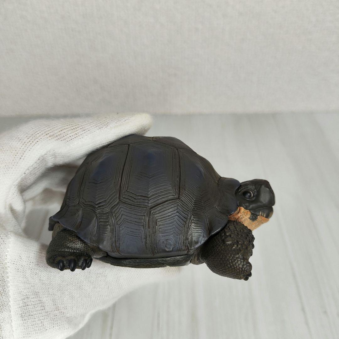 【動物の惑星】レア★ガラパゴスゾウガメ（シークレット）★フィギュア