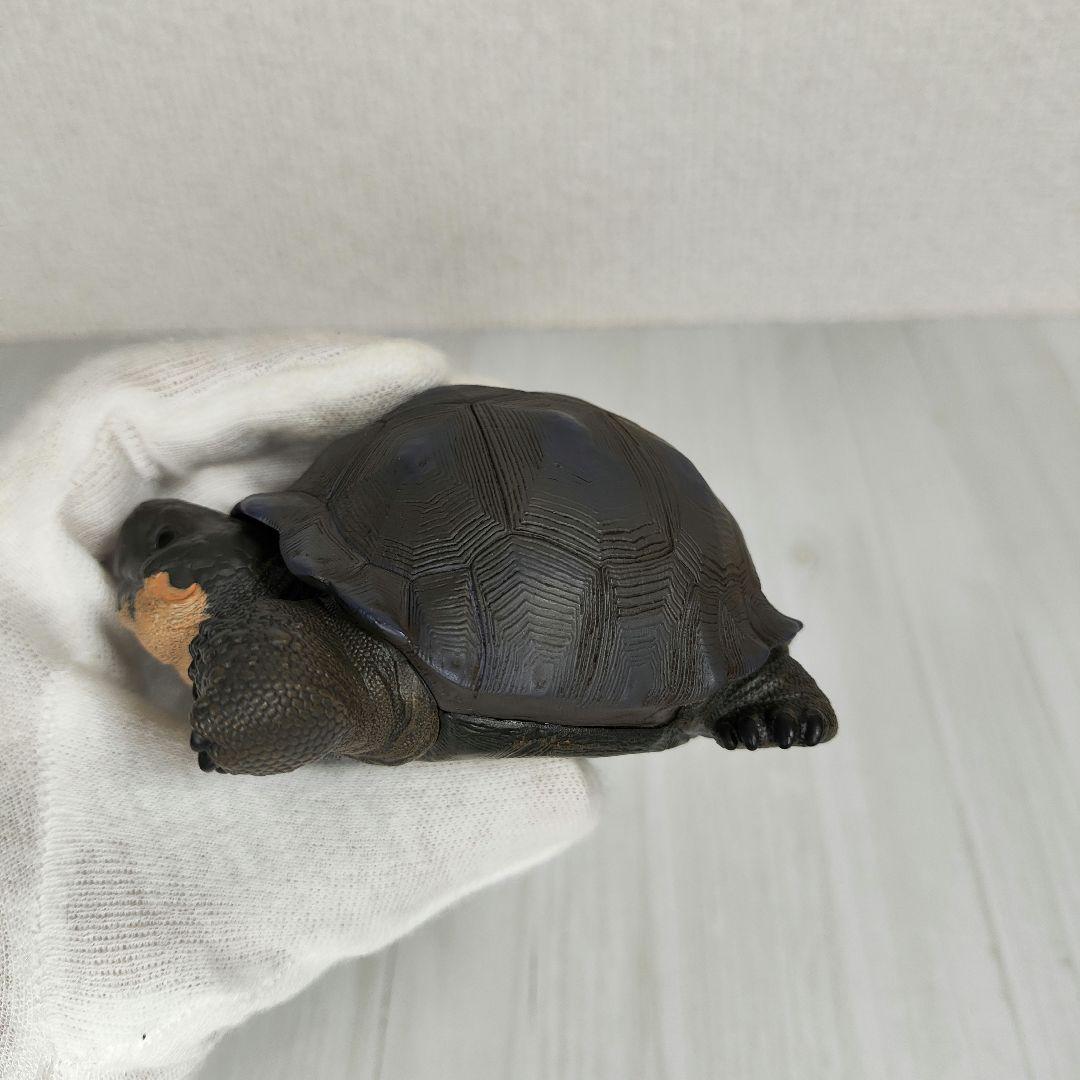 【動物の惑星】レア★ガラパゴスゾウガメ（シークレット）★フィギュア