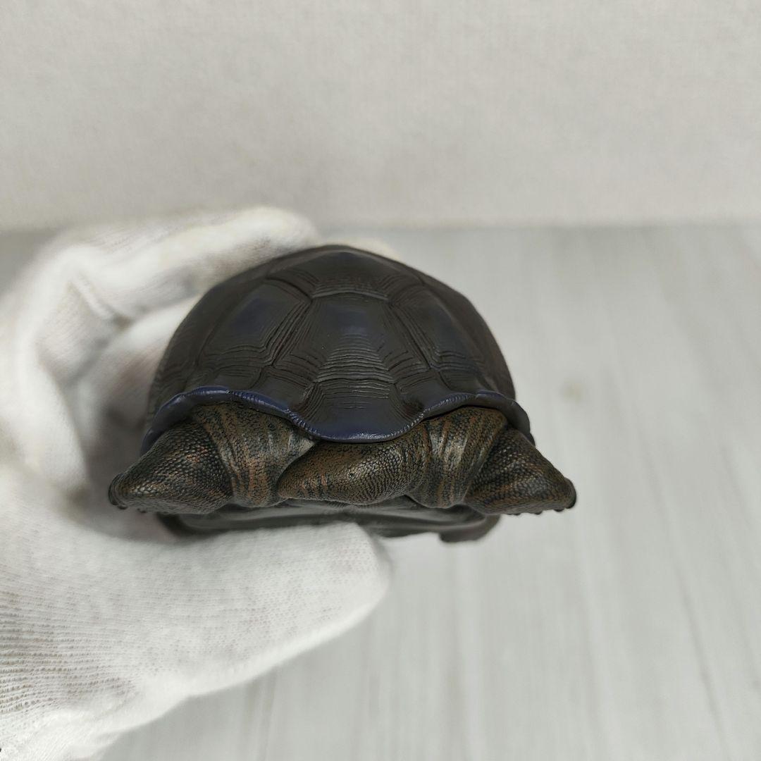 【動物の惑星】レア★ガラパゴスゾウガメ（シークレット）★フィギュア