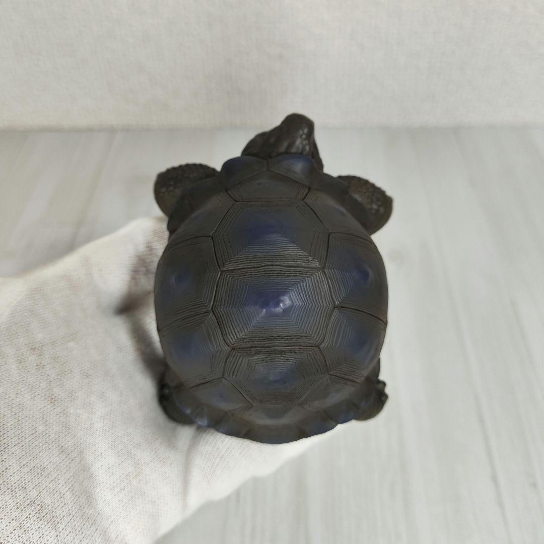 【動物の惑星】レア★ガラパゴスゾウガメ（シークレット）★フィギュア