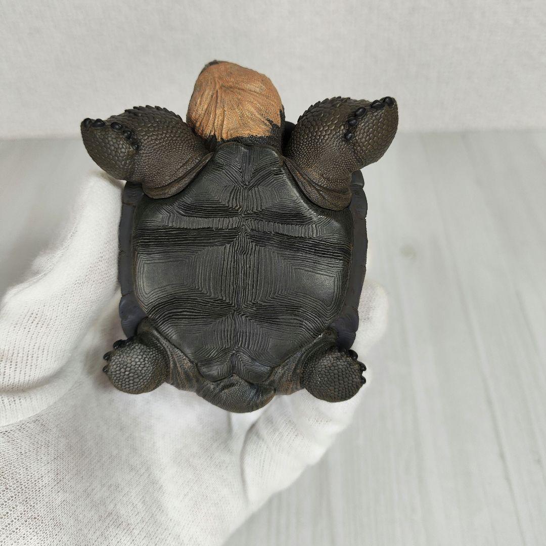 【動物の惑星】レア★ガラパゴスゾウガメ（シークレット）★フィギュア