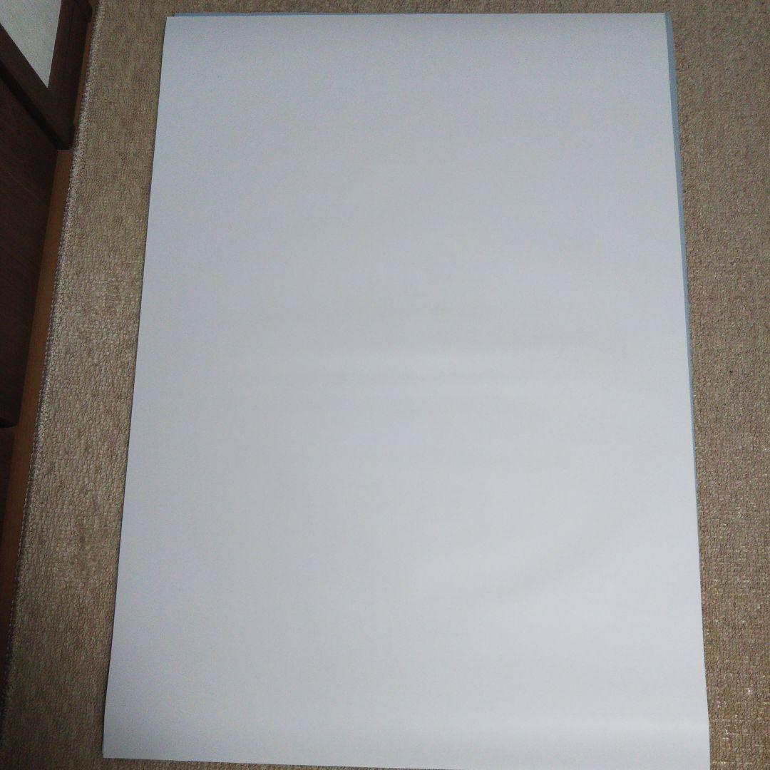 AdaNous アダナス てのひらえる直筆サイン入りA1ポスター