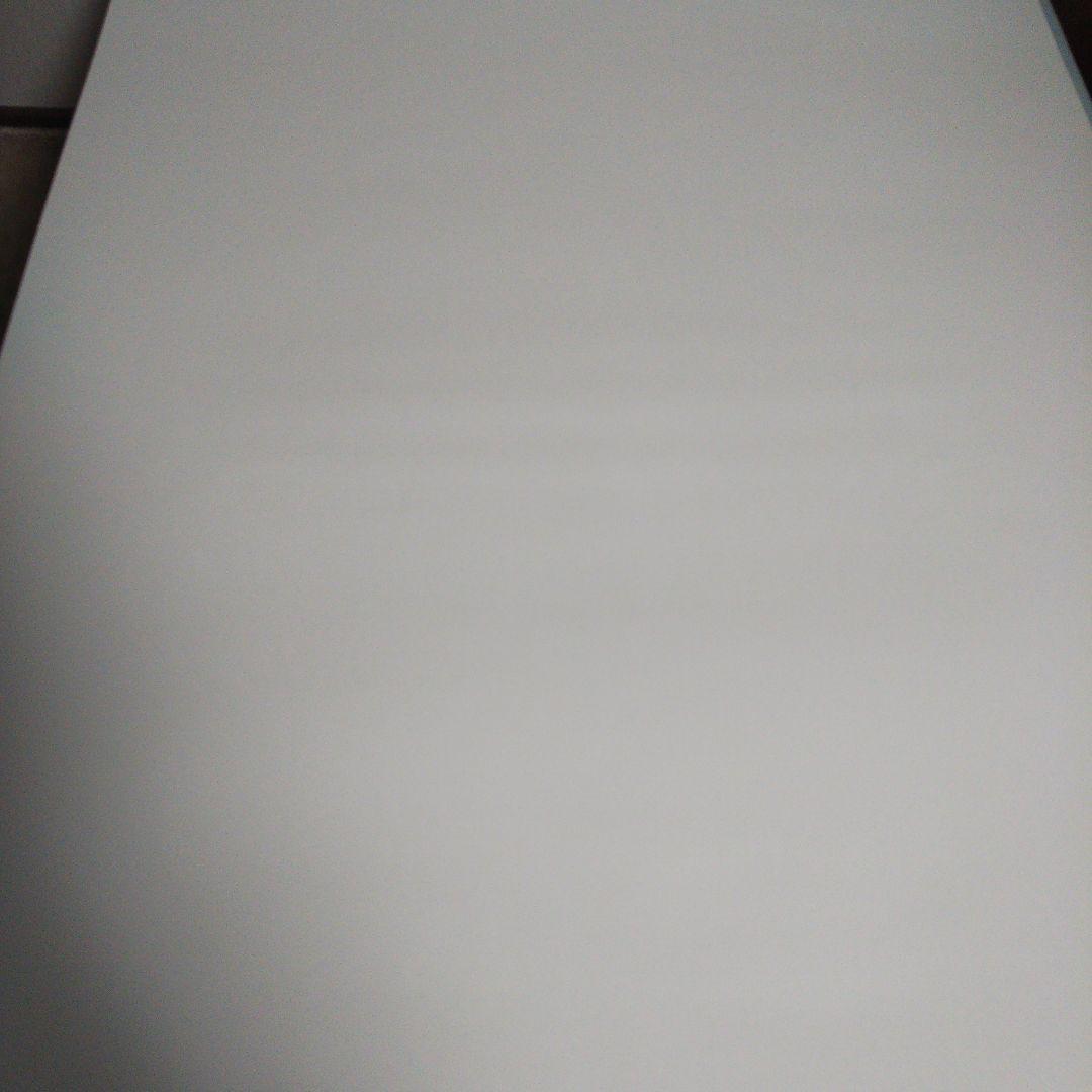 AdaNous アダナス てのひらえる直筆サイン入りA1ポスター