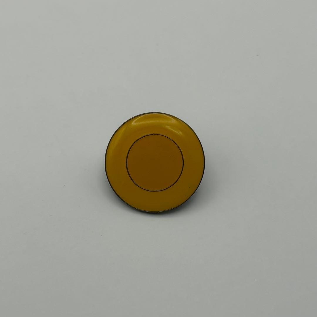 【希少】ポケモン　ピンバッジ　初代　ジムバトル　コンプリートパック