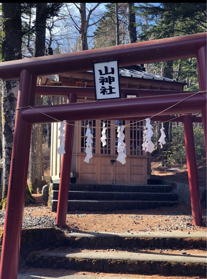 今年は60年に1度の巳年〜宇宙エネルギーを享受⭐️稀少ギペオン隕石&蛇⭐️10mm玉