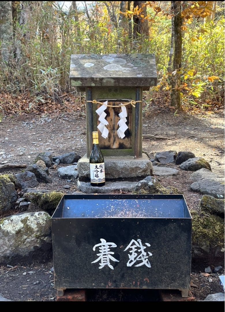 今年は60年に1度の巳年〜宇宙エネルギーを享受⭐️稀少ギペオン隕石&蛇⭐️10mm玉