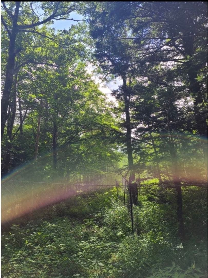 今年は60年に1度の巳年〜宇宙エネルギーを享受⭐️稀少ギペオン隕石&蛇⭐️10mm玉