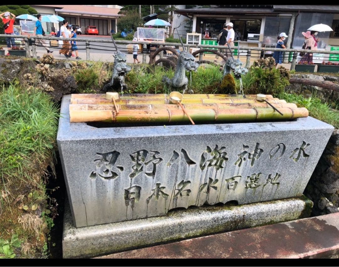 今年は60年に1度の巳年〜宇宙エネルギーを享受⭐️稀少ギペオン隕石&蛇⭐️10mm玉