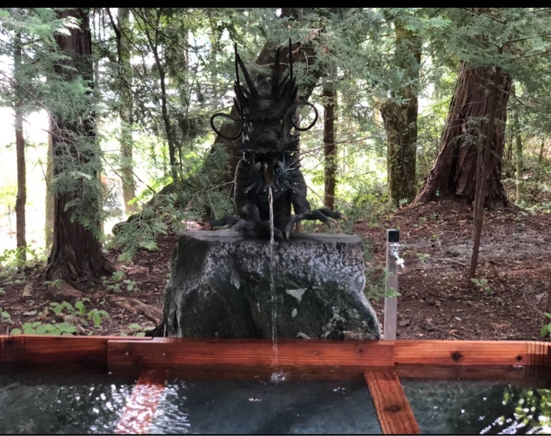 今年は60年に1度の巳年〜宇宙エネルギーを享受⭐️稀少ギペオン隕石&蛇⭐️10mm玉