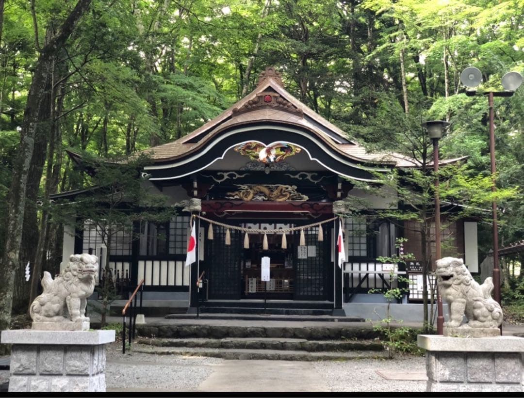 今年は60年に1度の巳年〜宇宙エネルギーを享受⭐️稀少ギペオン隕石&蛇⭐️10mm玉