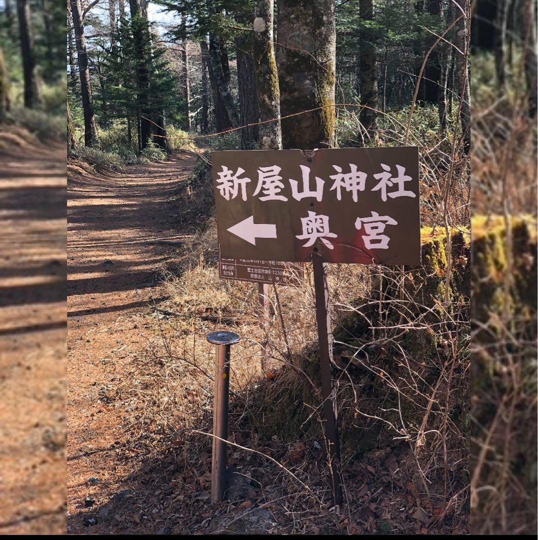 今年は60年に1度の巳年〜宇宙エネルギーを享受⭐️稀少ギペオン隕石&蛇⭐️10mm玉