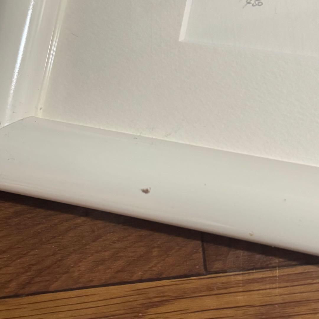 真作 藤城清治 月光の響き 直筆サイン入り レフグラフ 裏書きあり