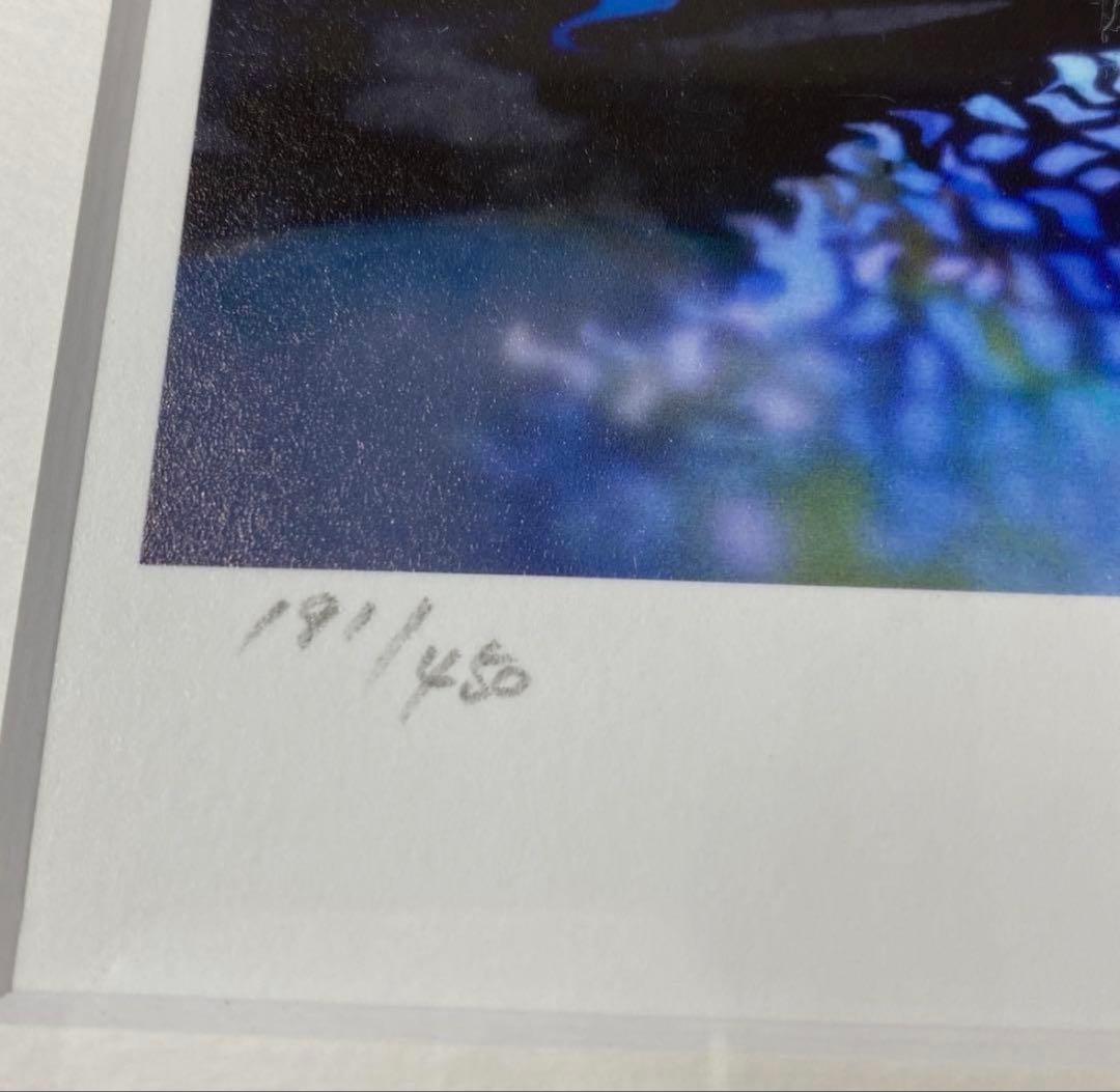 真作 藤城清治 月光の響き 直筆サイン入り レフグラフ 裏書きあり