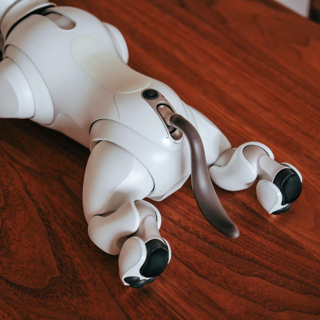 SONY aibo ERS-1000 アイボ