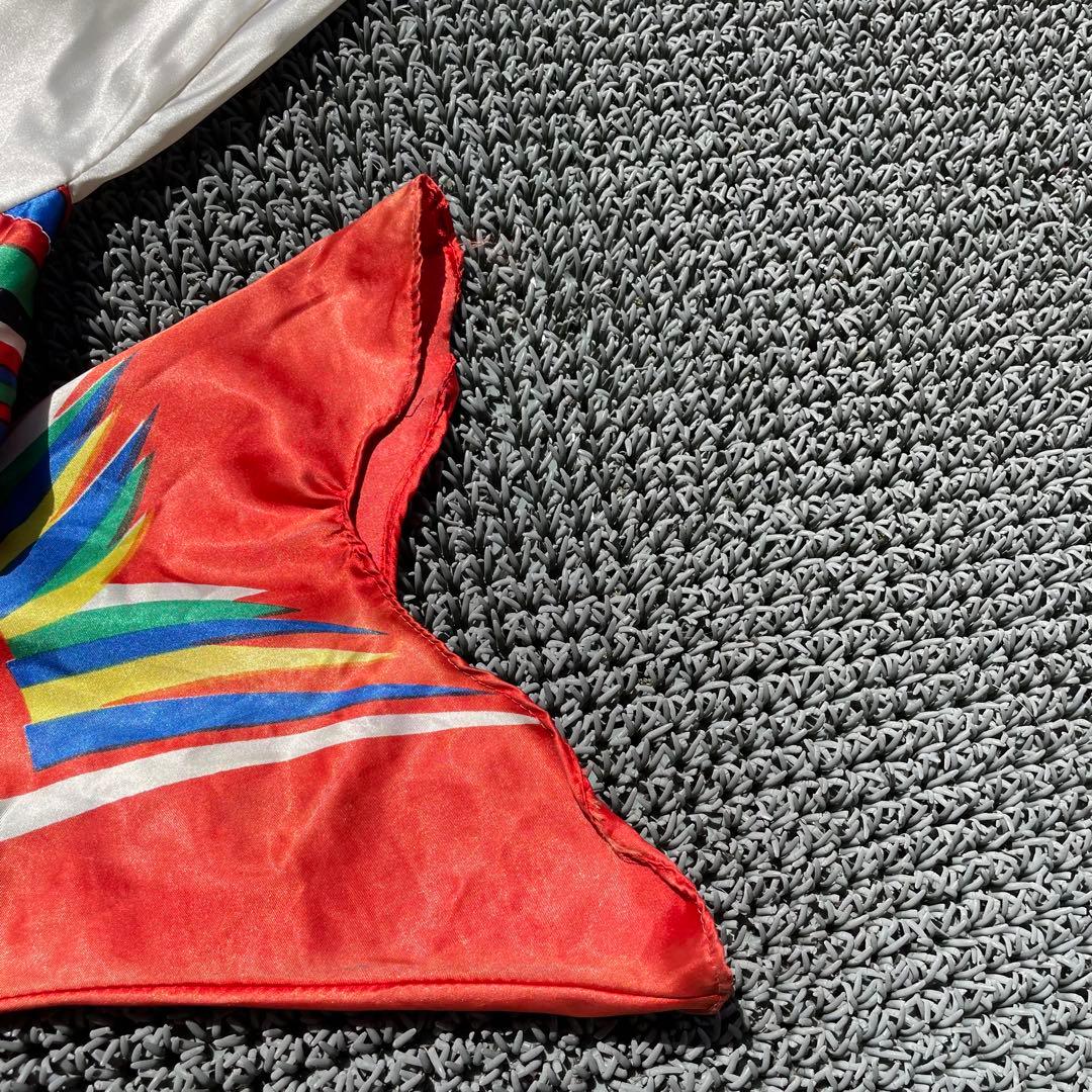 ◻️希少◻️岡本太郎　鯉のぼり