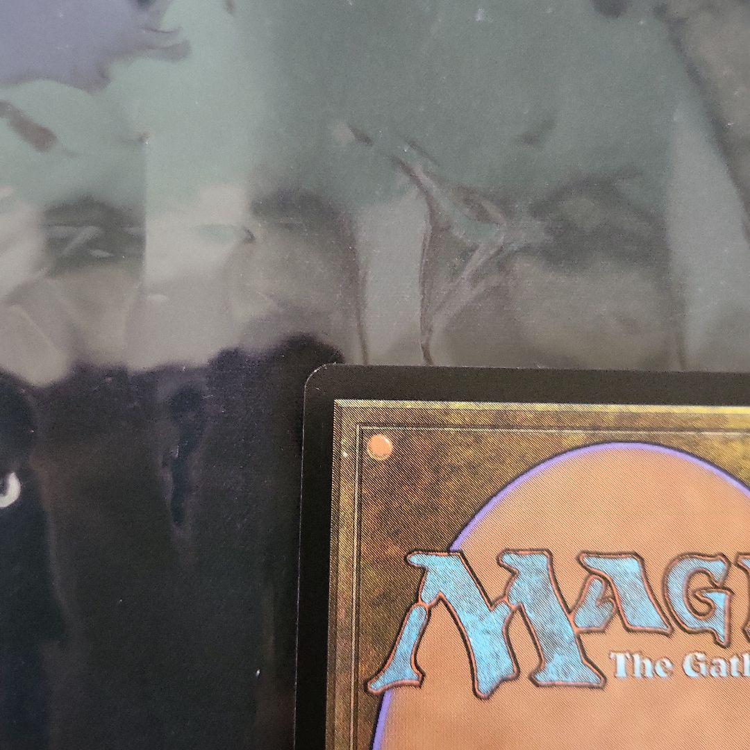 《神聖なる泉/Hallowed Fountain》[EXP] 土地R