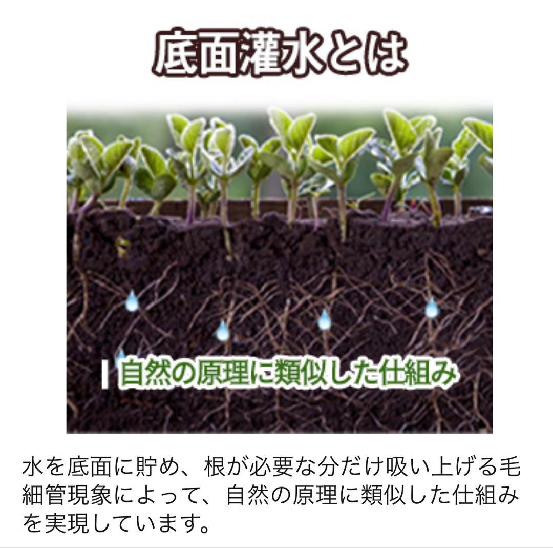 底面灌水プランター 自動給水 底面給水鉢 自動水やり 植木鉢 水位感知センサー