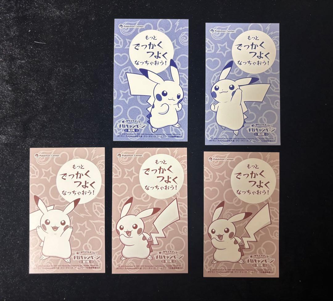 ポケモン ポンチョを着たピカチュウ 名刺カード セット リザードン