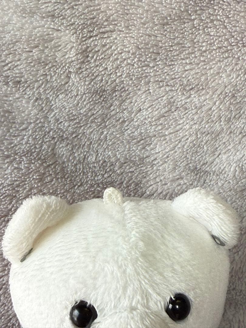 BE:FIRST JUNON クマ