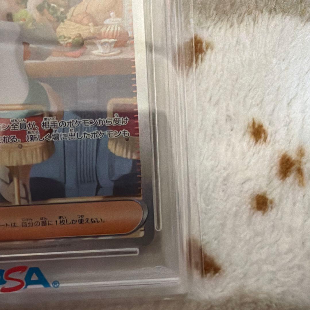 ミカンのまなざし PSA10