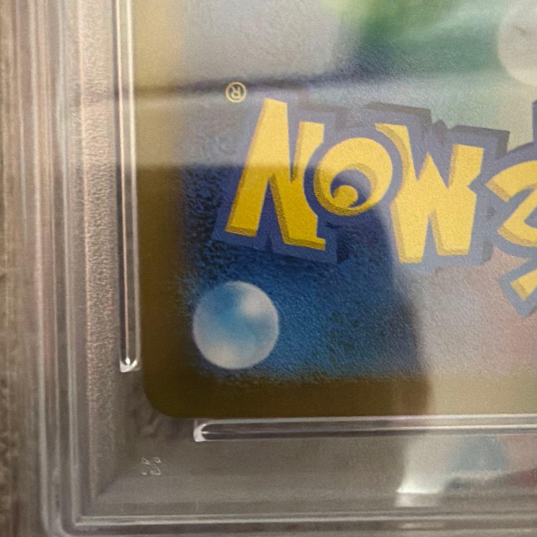 ミカンのまなざし PSA10