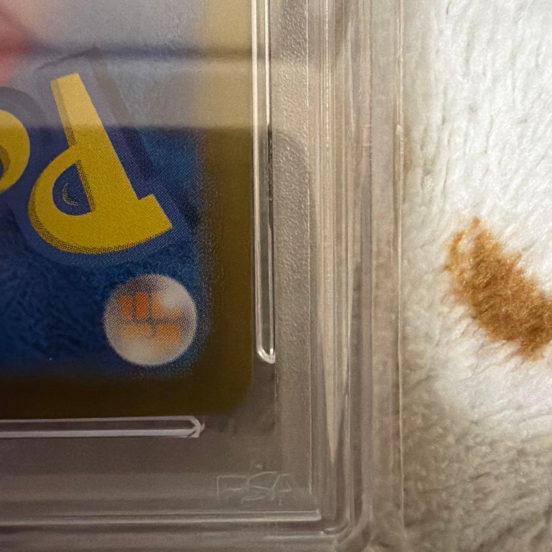 ミカンのまなざし PSA10