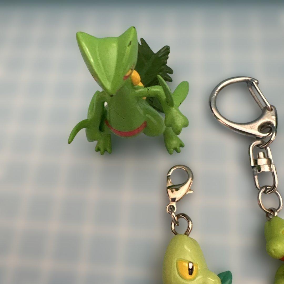 ポケモン キモリ セット売り