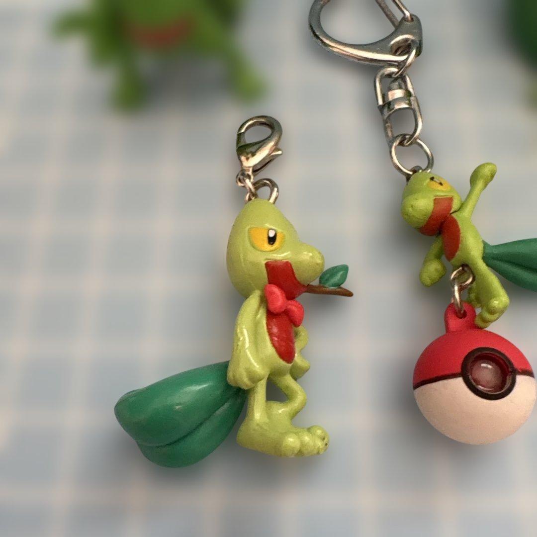 ポケモン キモリ セット売り