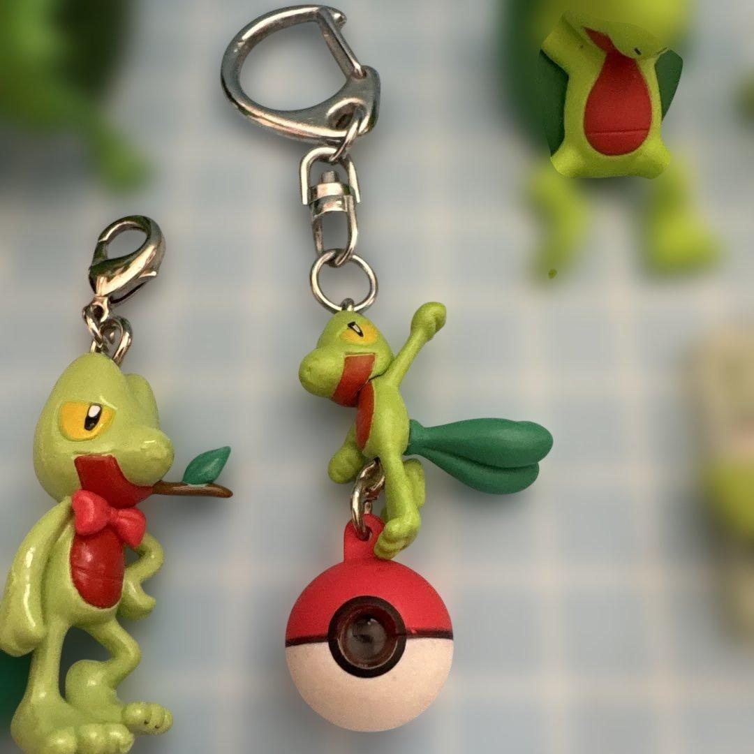 ポケモン キモリ セット売り