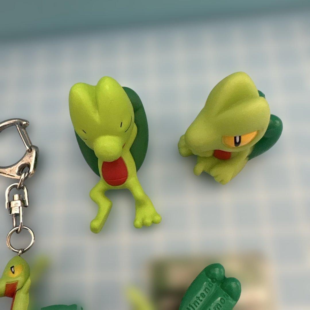 ポケモン キモリ セット売り