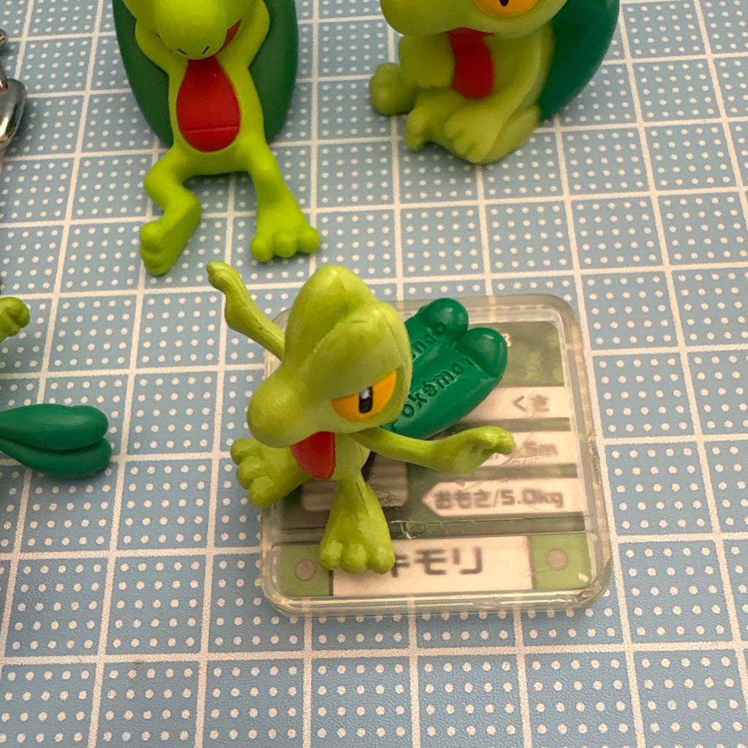 ポケモン キモリ セット売り