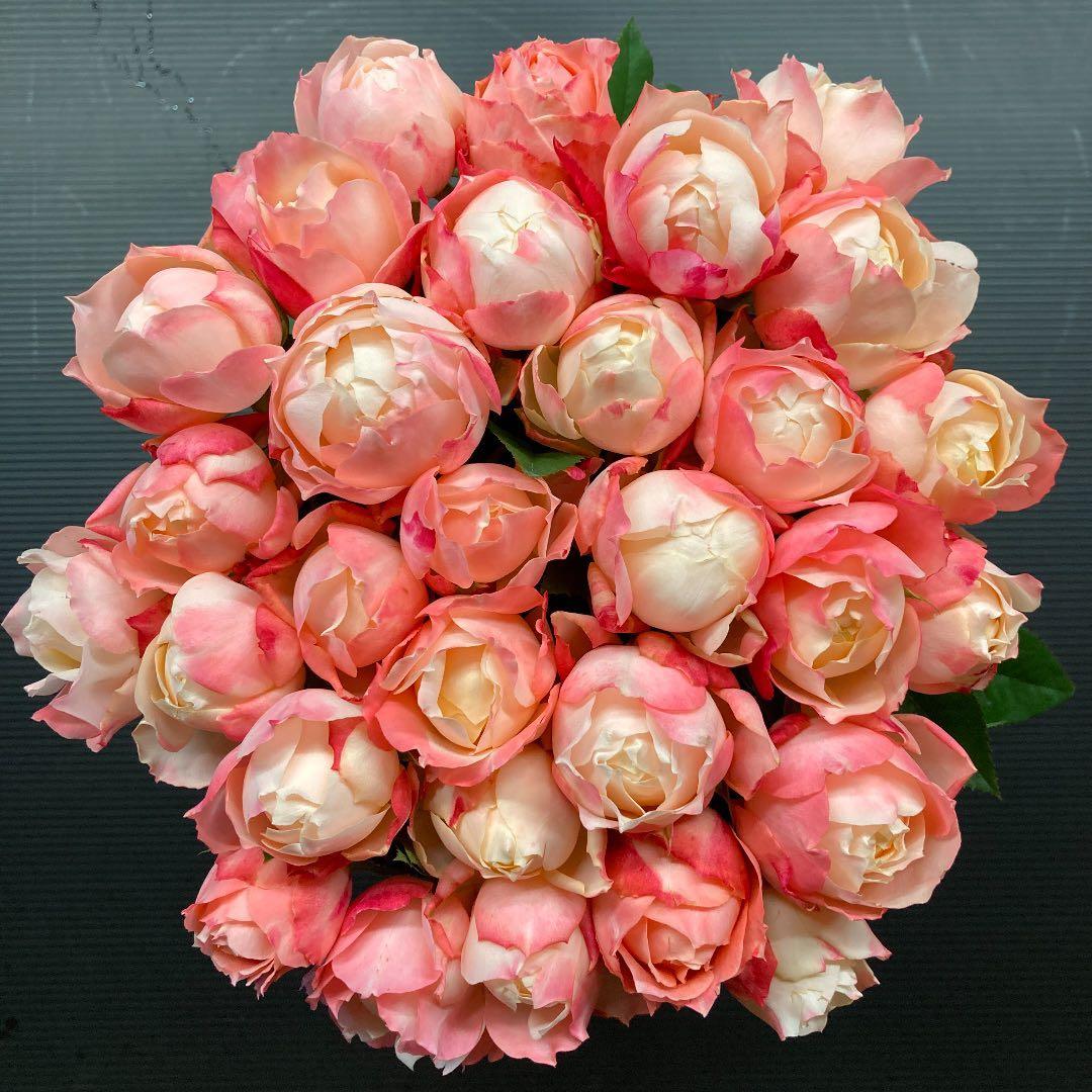 start　13日発　ラッピング＆メッセージ　アレンジ30＆ユーカリ10本