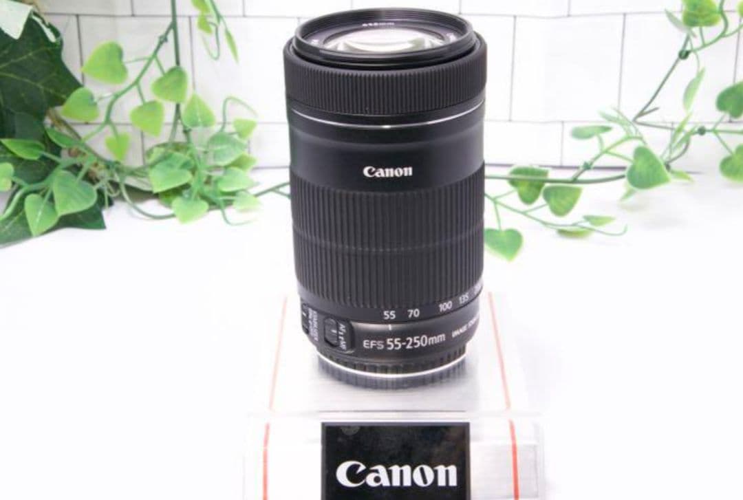 2月22日限定価格【望遠】Canon EF-S 55-250mm IS STM