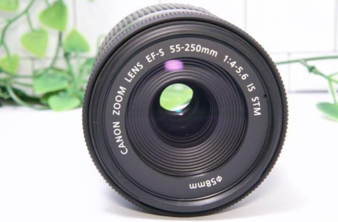 2月22日限定価格【望遠】Canon EF-S 55-250mm IS STM