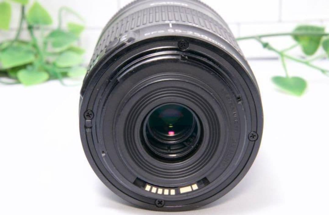 2月22日限定価格【望遠】Canon EF-S 55-250mm IS STM
