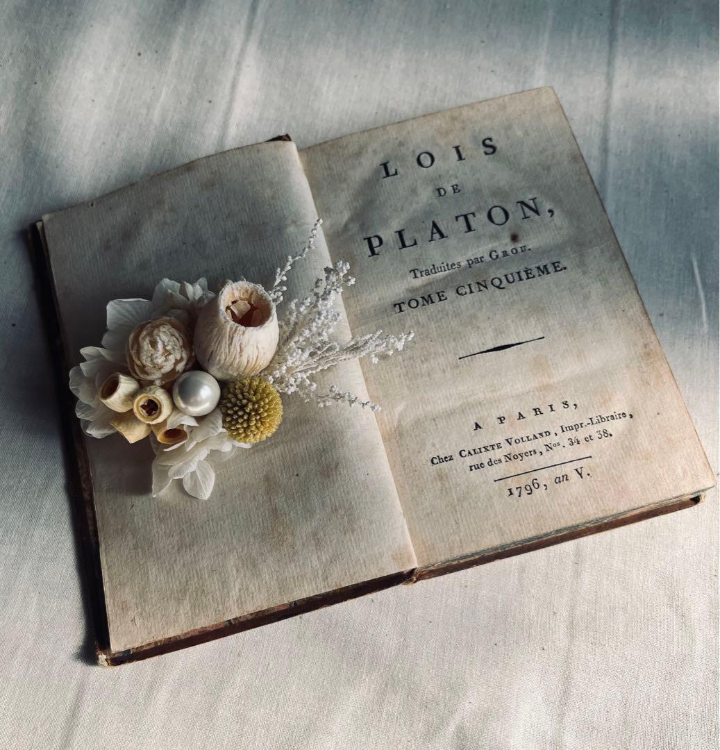 フラワー・ガーデニング corsage no.766