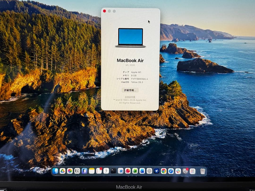 MacBook本体 M1 MacBook Air (RAM 8GB, SSD 256GB) SG