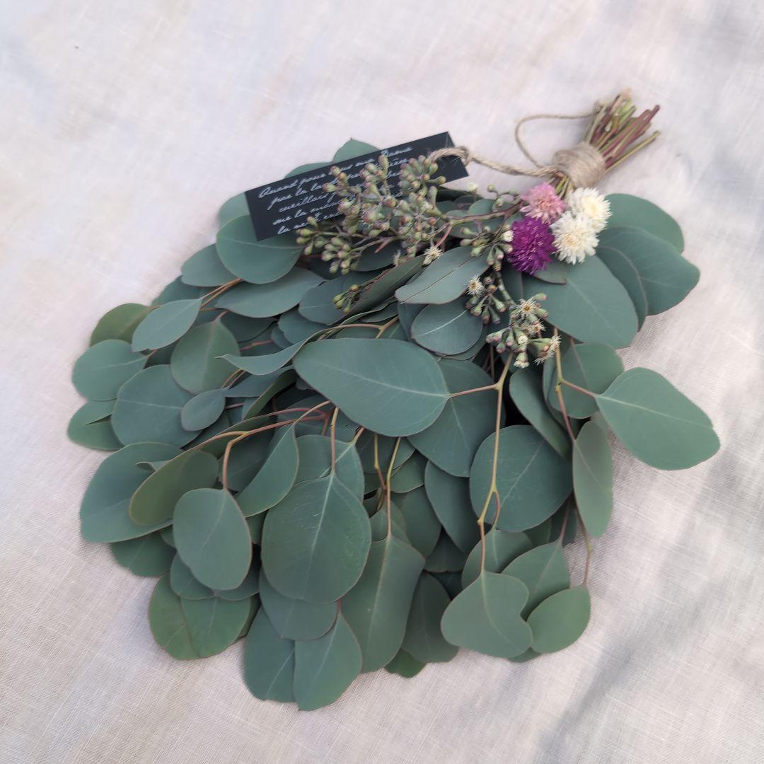 メル86631様ご相談中　ユーカリの500円スワッグ　千日紅を添えて